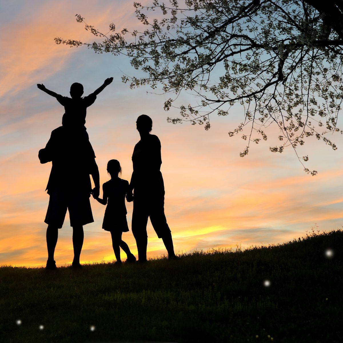 Derecho de familia y asesoría legal